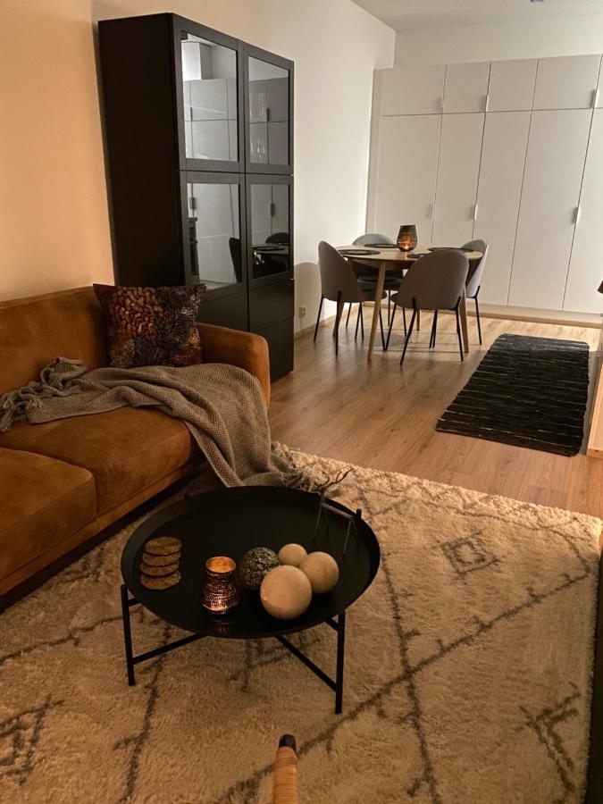 Amazing City Center Apartment 罗瓦涅米 外观 照片